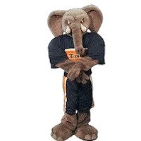 dancing elephant